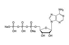 Adenosine-5'-triphosphate-Na2-salt cryst. research grade