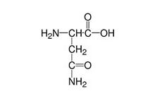 Asparagine-monohydrate research grade, Ph. Eur.