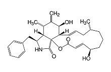 Cytochalasin B