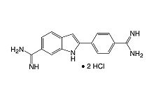 4',6-Diamidino-2-phenylindole-2HCl analytical grade