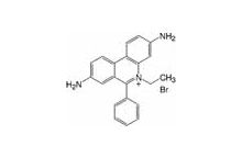 Ethidium bromide aqueous solution 1 % w/v 