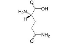 L-Glutamine analytical grade, USP