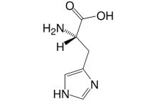 L-Histidine base research grade, Ph. Eur., USP