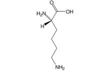 L-Lysine-H2O cryst. reseach grade