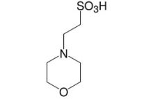 Morpholinoethane sulfonic acid analytical grade