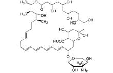 Nystatin min. 4 400 units/mg research grade, Ph. Eur.