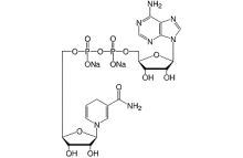 beta-Nicotinamide adenine dinucleotide reduced-Na2-salt research grade