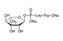 Phosphoramidon research grade