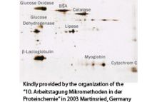 SERVA Proteome Markers
