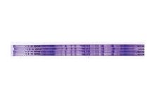 SERVA IPG BlueStrip 3-10 / 18 cm 180 x 3 x 0.5 mm