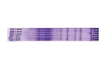SERVA IPG BlueStrip 3-10 NL / 18 cm 180 x 3 x 0.5 mm