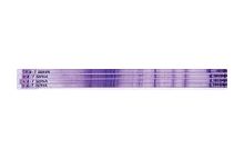 SERVA IPG BlueStrip 4-7 / 18 cm 180 x 3 x 0.5 mm