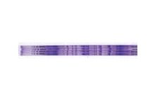 SERVA IPG BlueStrip 3-10 / 24 cm 240 x 3 x 0.5 mm