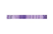 SERVA IPG BlueStrip 4-7 / 24 cm 240 x 3 x 0.5 mm