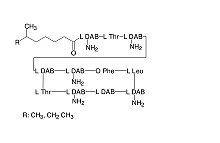 Polymyxin-B-sulfate research grade, Ph. Eur.
