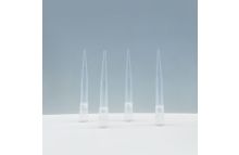 DNase/RNase-free Low Retention Filtered Pipette Tip 1000μL 