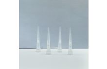 DNase/RNase-free Low Retention Filtered Pipette Tip 10μL 