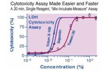 LDH Cytotoxicity Assay Kit
