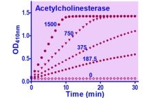 Acetylcholinesterase Reagent