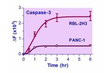 QuantiFluo Caspase-3 Assay Kit