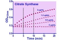 QuantiChrom Citrate Synthase Assay Kit