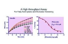 QuantiChrom Fatty Acid Uptake Assay Kit
