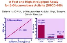 QuantiChrom β-Glucuronidase Assay Kit