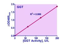 QuantiChrom γ-Glutamyl Transferase Assay Kit