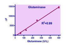 QuantiFluo Glutaminase Assay Kit