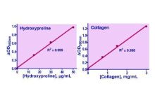 QuantiChromHydroxyproline Assay Kit