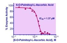 QuantiChrom Hyaluronidase Inhibitor Screening Assay Kit