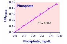 QuantiChrom Phosphate Assay Kit
