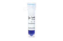 DNA/RNA Gel Loading Buffer, 4x