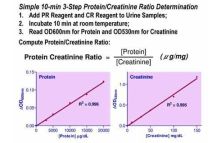 QuantiChrom Protein Creatinine Ratio Assay Kit
