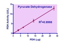 QuantiChrom Pyruvate Dehydrogenase Assay Kit