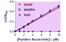 EnzyChrom NADP/NADPH Assay Kit