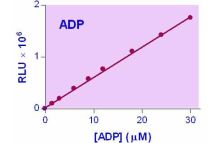 EnzyLight ADP Assay Kit