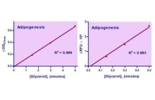EnzyChrom Adipogenesis Assay Kit
