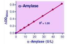 EnzyChrom α-Amylase Assay Kit
