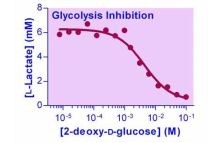 EnzyChrom Glycolysis Assay Kit