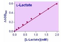 EnzyChrom Lactate Assay Kit