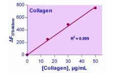 EnzyFluo Collagen Assay Kit