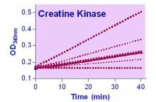 EnzyChrom Creatine Kinase Assay Kit