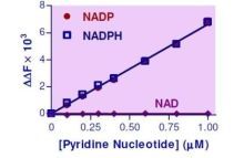 EnzyFluo NADP/NADPH Assay Kit