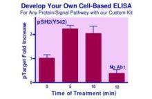 EnzyFluo Custom Cell-Based ELISA Kit