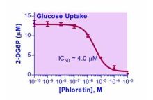 EnzyFluo Glucose Uptake Assay Kit