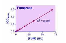 EnzyChrom Fumarase Assay Kit