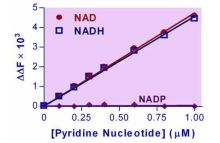 EnzyFluo NAD/NADH Assay Kit
