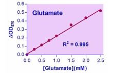 EnzyChrom Glutamate Assay Kit