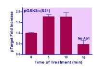 EnzyFluo Human/Mouse GSK3A(S21) Phosphorylation ELISA Kit
